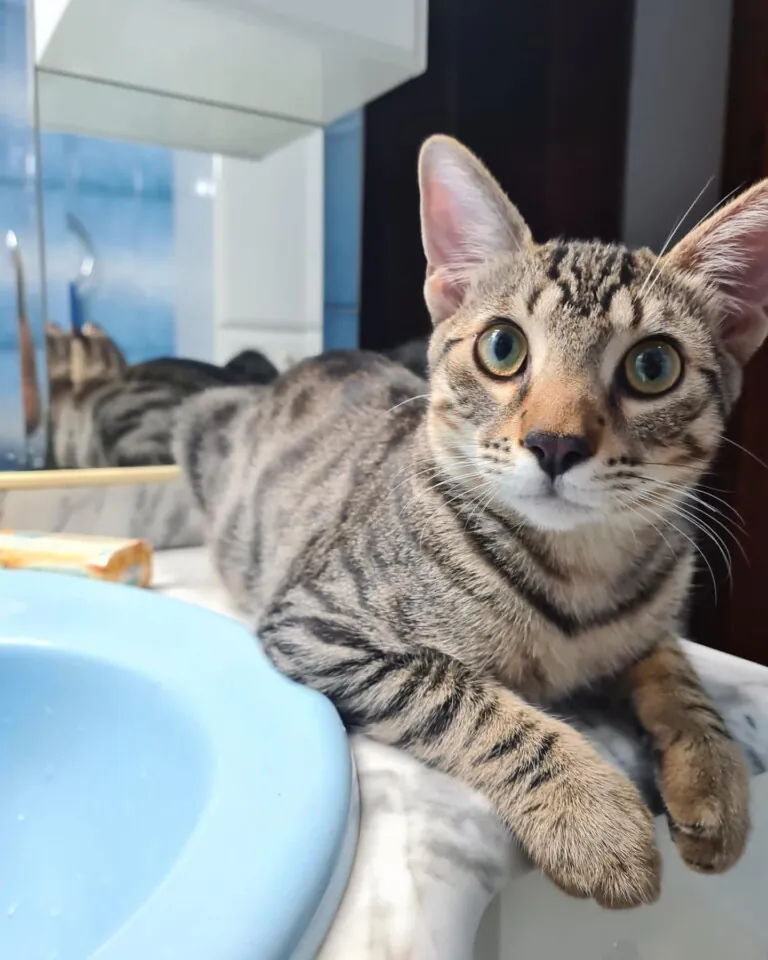 La Huella Blanca1 768x960