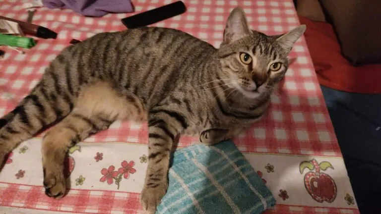 La Huella Blanca4 768x432