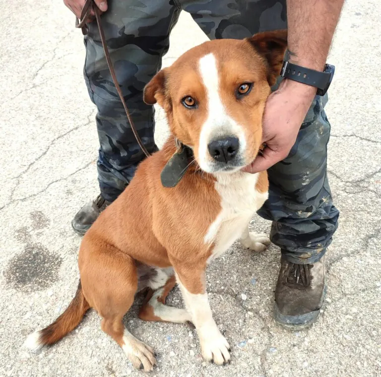 La Huella Blanca6 768x760