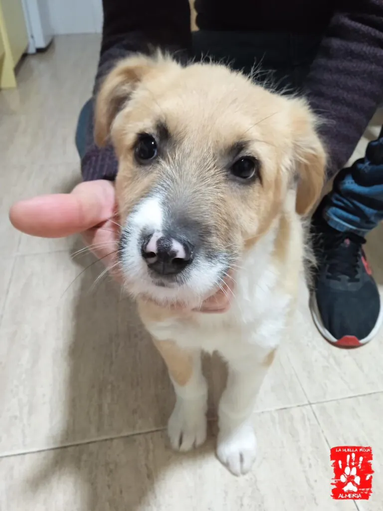 La Huella Roja Almeria2 768x1024