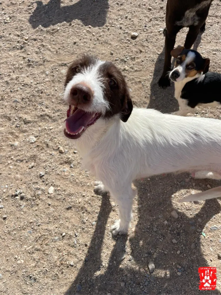 La Huella Roja Almeria4 768x1024