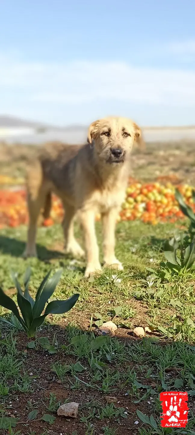 La Huella Roja Almeria5