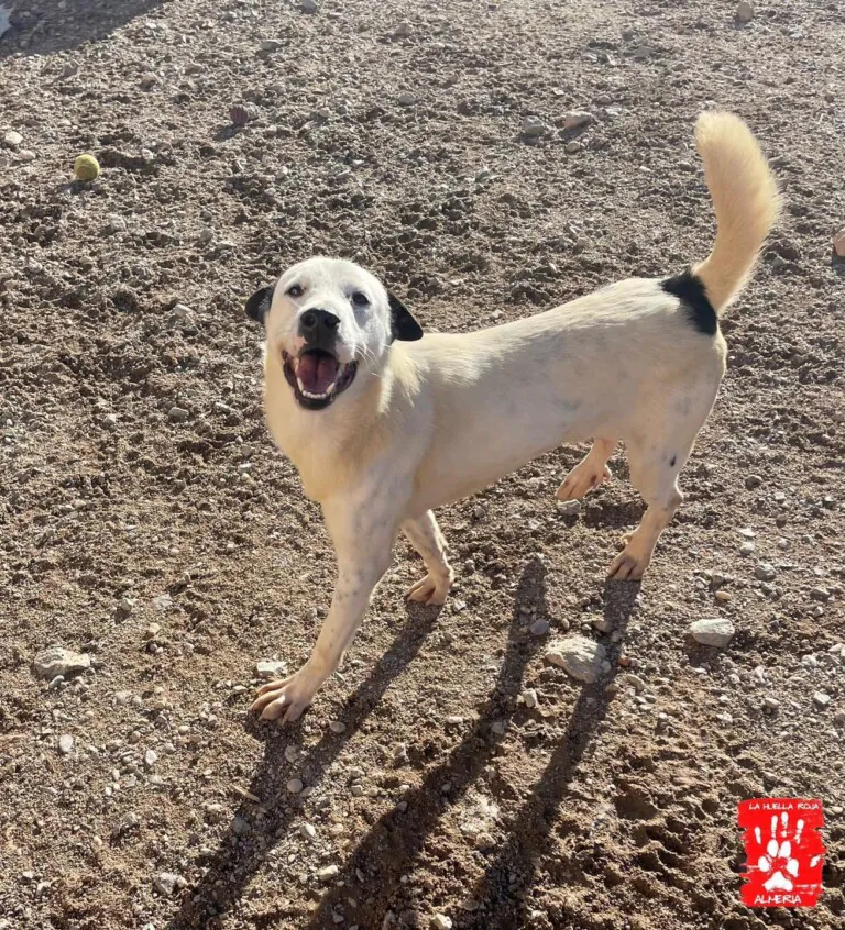 La Huella Roja Almeria6 768x846