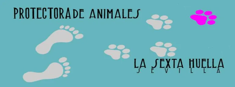 La Sexta Huella logo 1 768x284