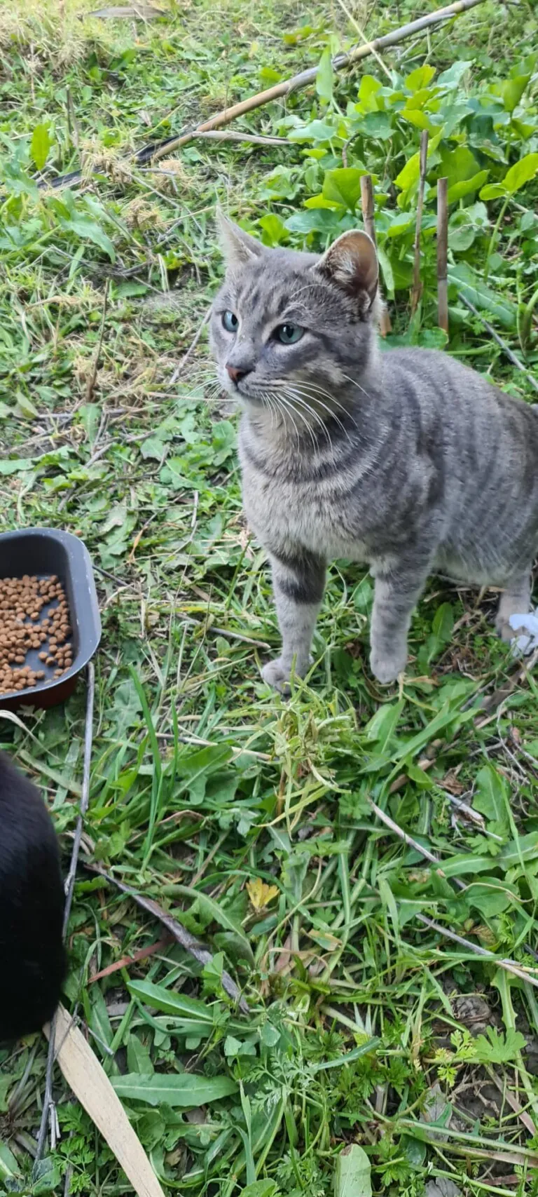 La Sexta Huella1 768x1707