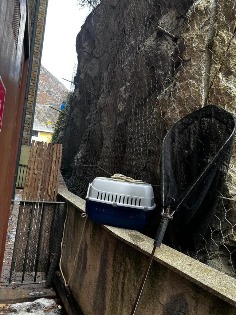 Laika Andorra 768x1024