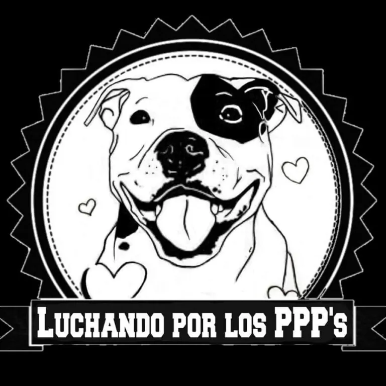 Luchando por los PPPs logo 768x768
