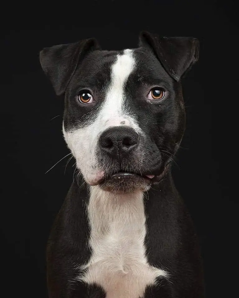 Luchando por los PPPs1