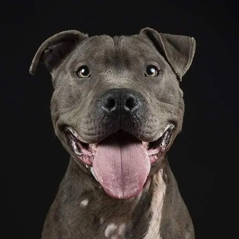 Luchando por los PPPs4