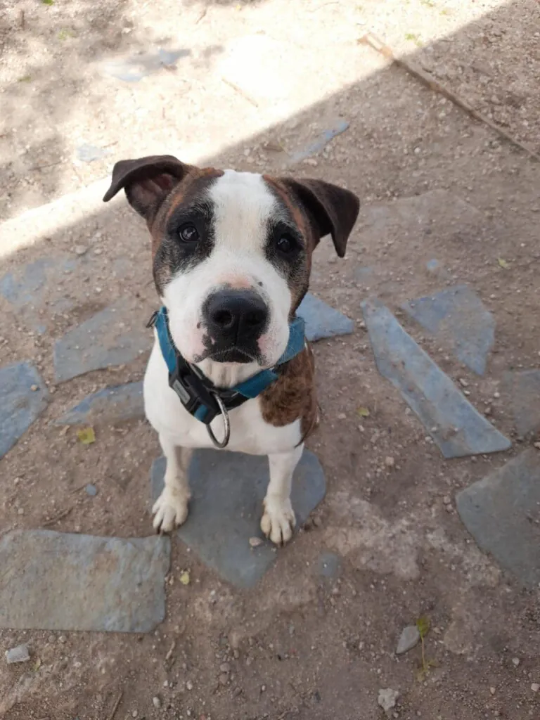 Luchando por los PPPs5 768x1024