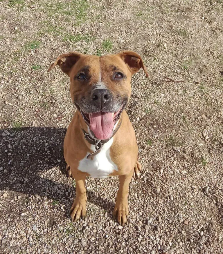 Luchando por los PPPs6 768x876