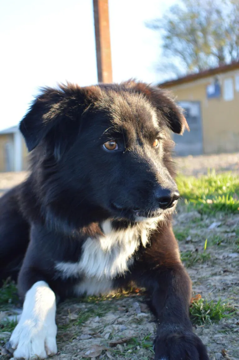 No Me Abandones1 768x1156