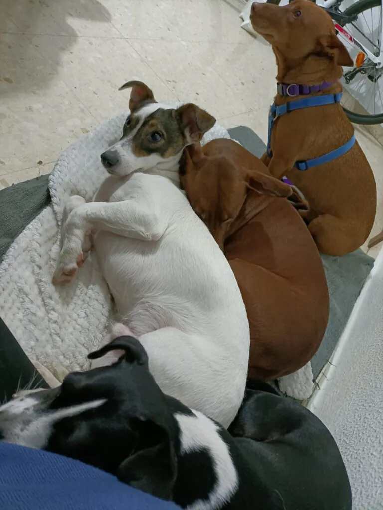 No Me Abandones2 768x1024