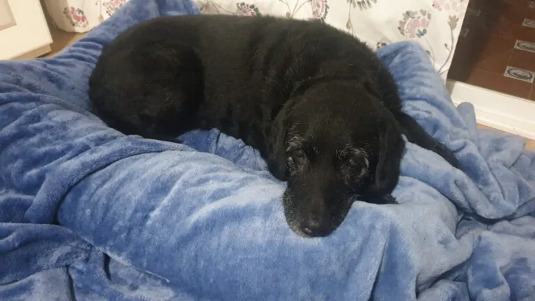 No Me Abandones5 768x432