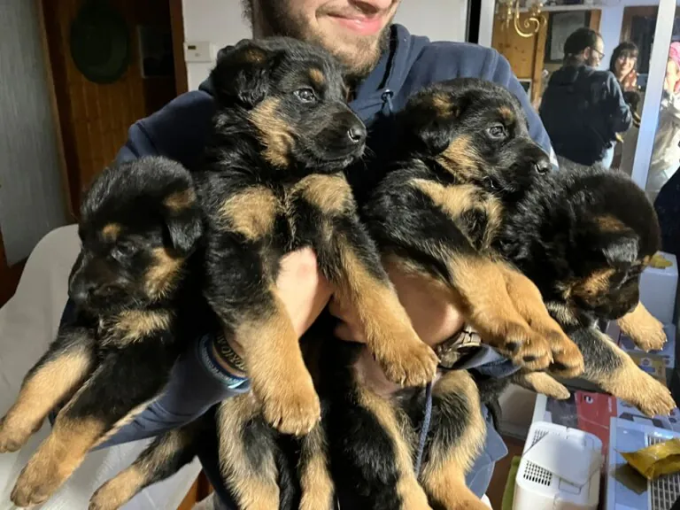 Refugio San Jorge Caceres1 768x576