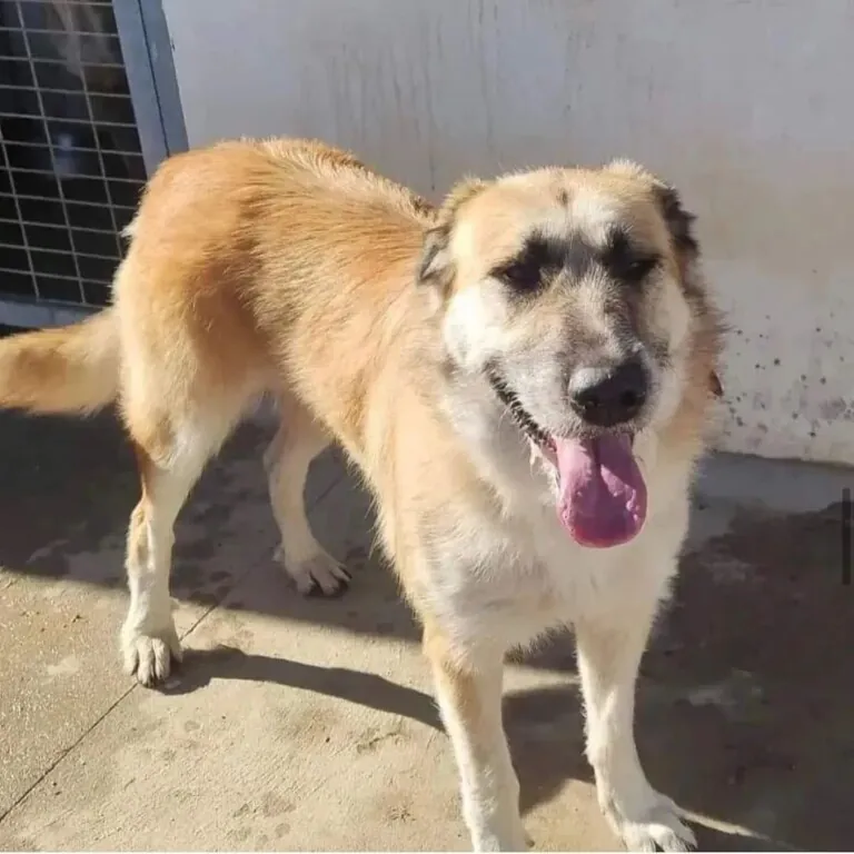 Refugio Turgalium6 768x768