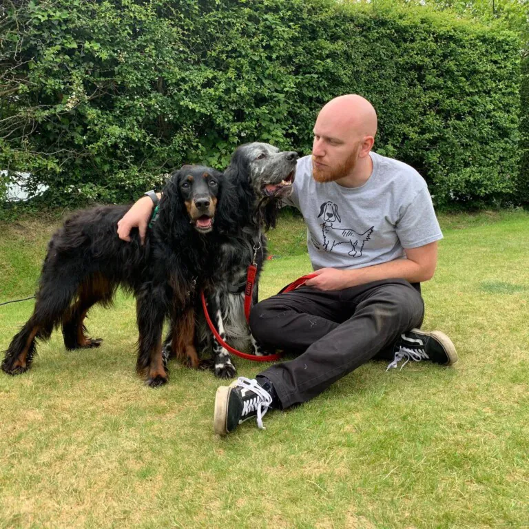 Rescate Perrines2 768x768