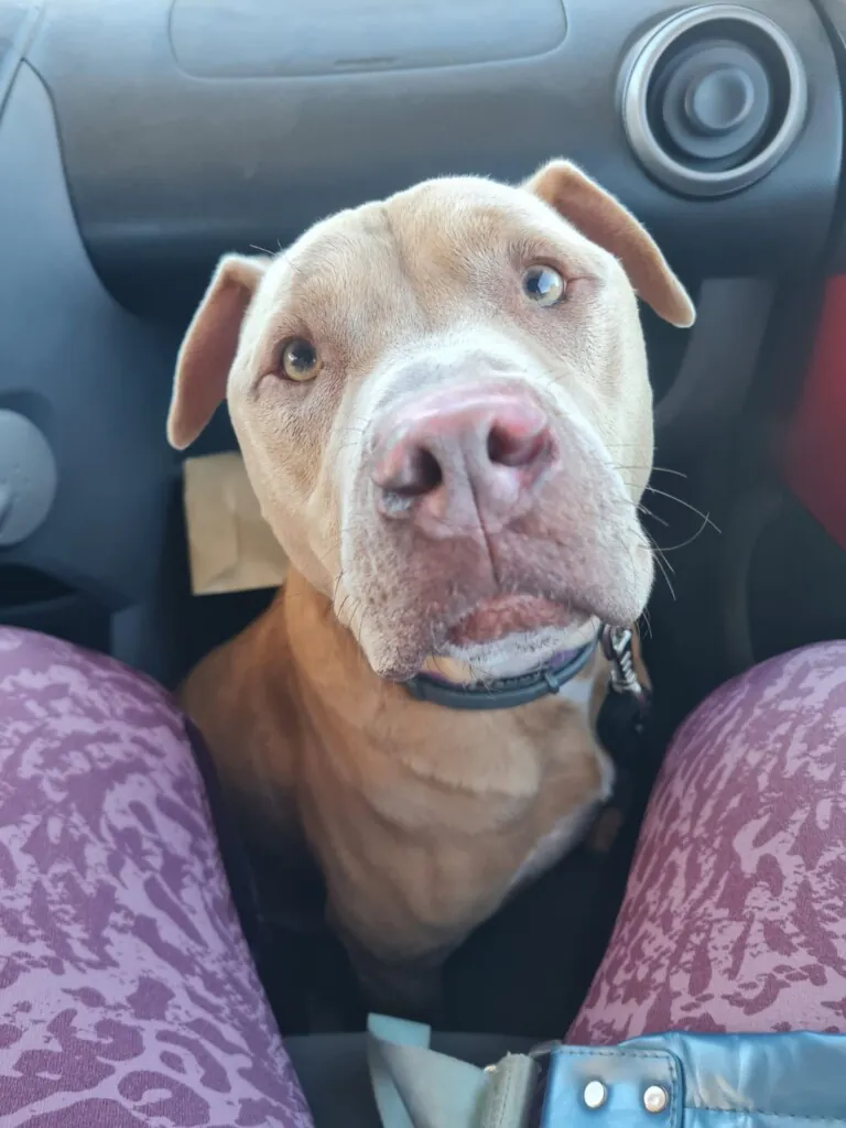 SOS PPP Los Barrios4 768x1024