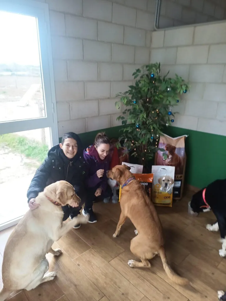 SOS Perrera Badajoz2 768x1024