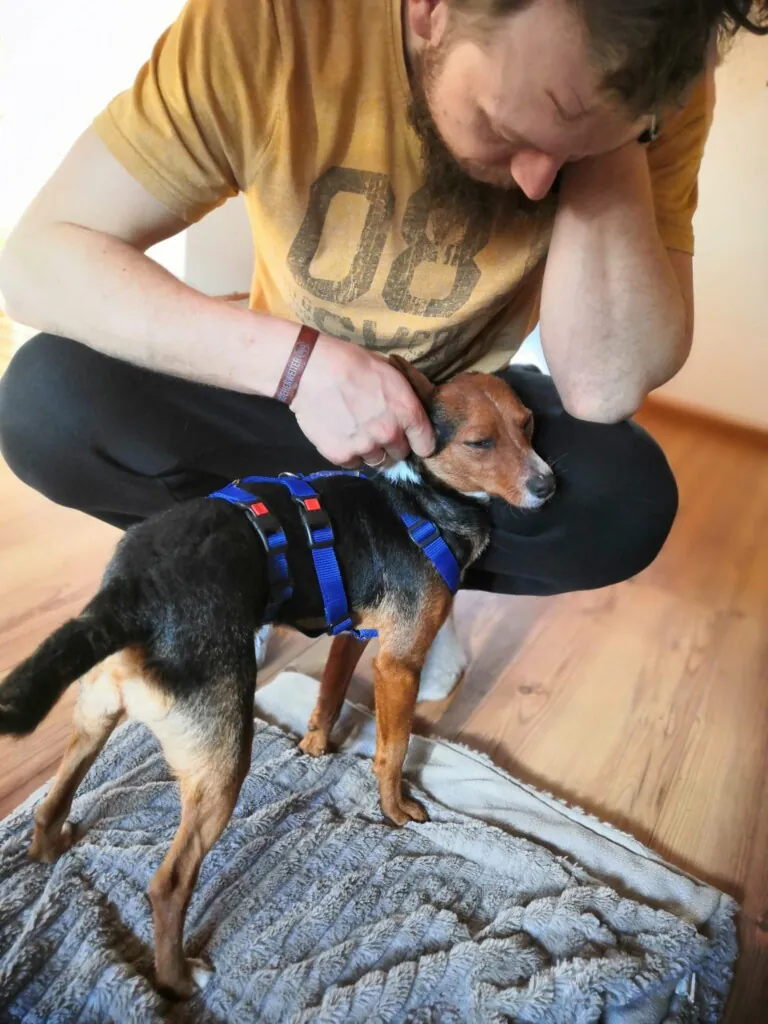SOS Perros de Adra2 768x1024