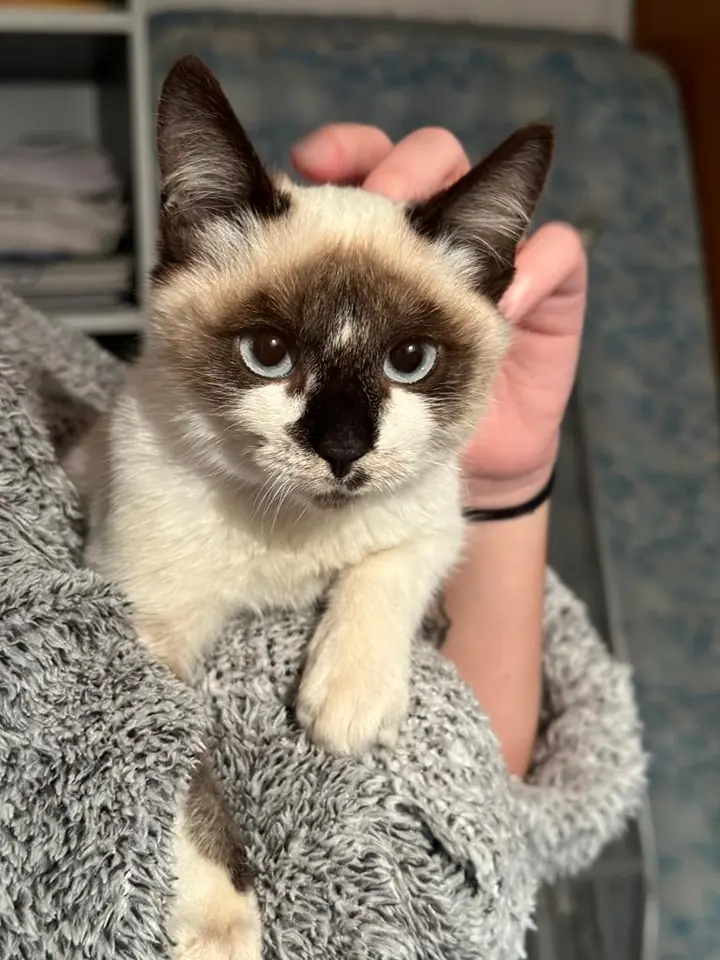 SPAP Alondra de Dupont1