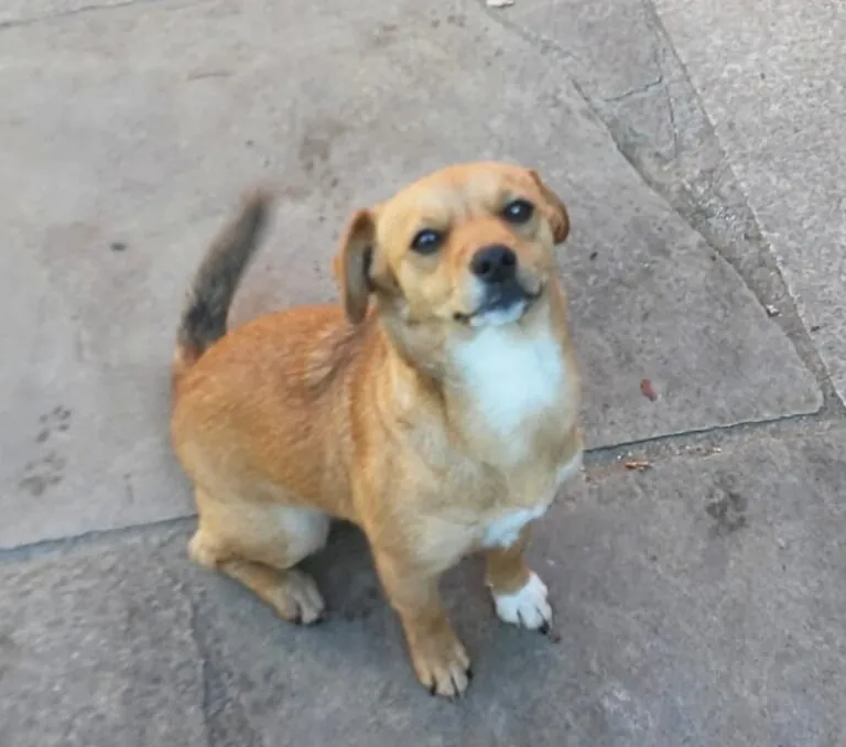 Sen Fronteiras3 768x678