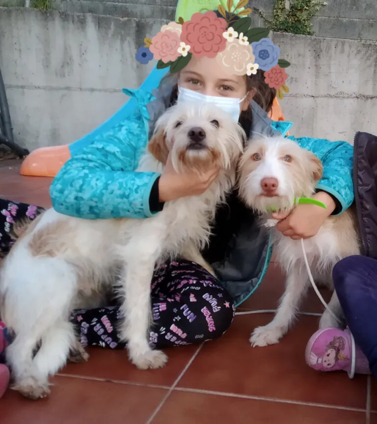 Sen Fronteiras4 768x864