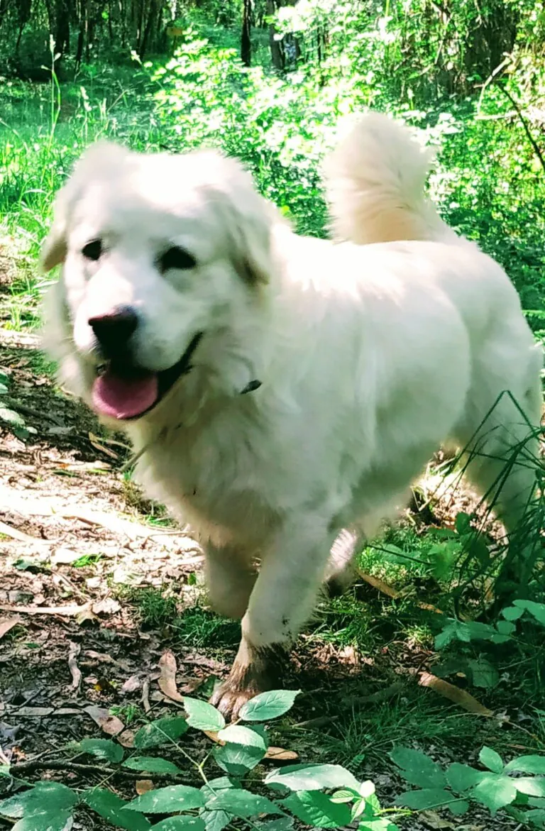 Sen Fronteiras5 768x1171