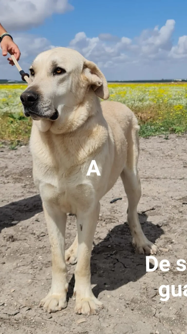 UDS Une Dos Soledades3 768x1371