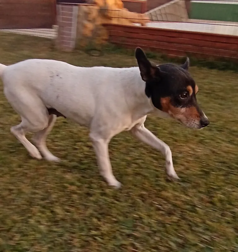 UDS Une Dos Soledades4 768x812