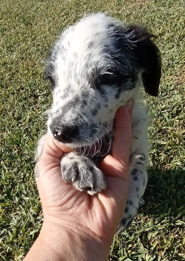 UDS Une Dos Soledades5 768x1084