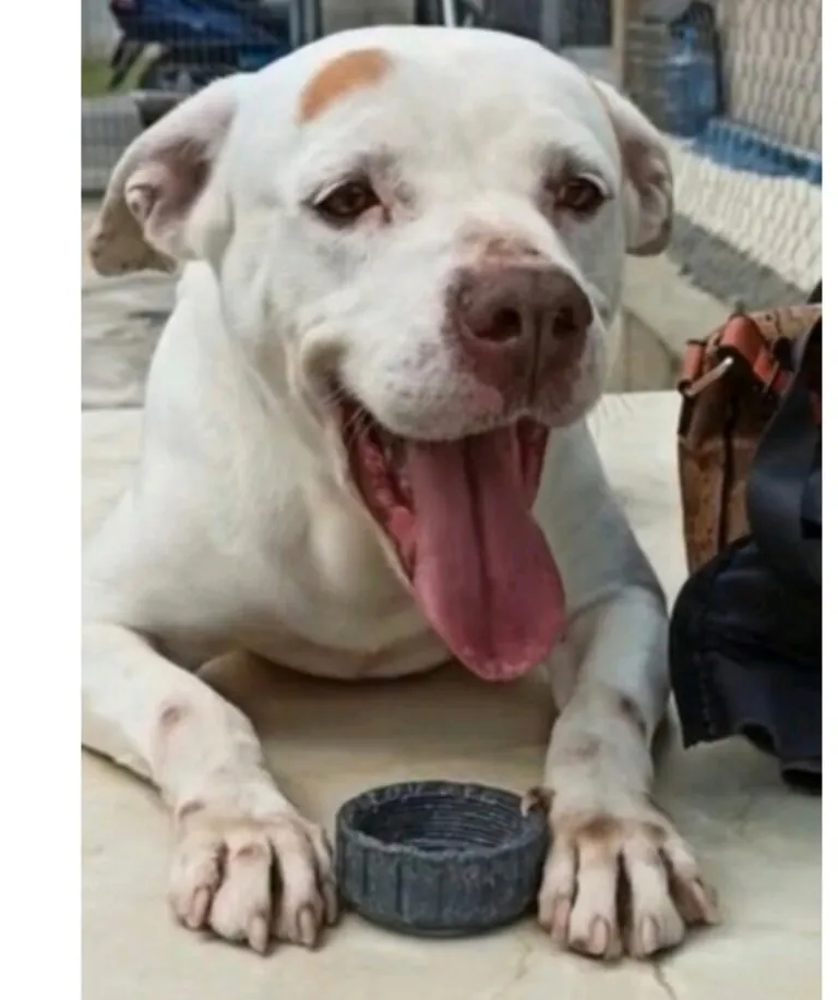 UDS Une Dos Soledades6 768x917