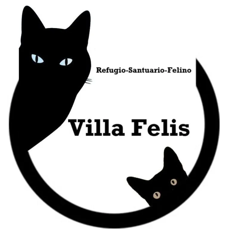Villa Felis logo 1 768x768