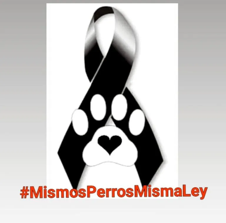 ZARPITAS logo 768x757