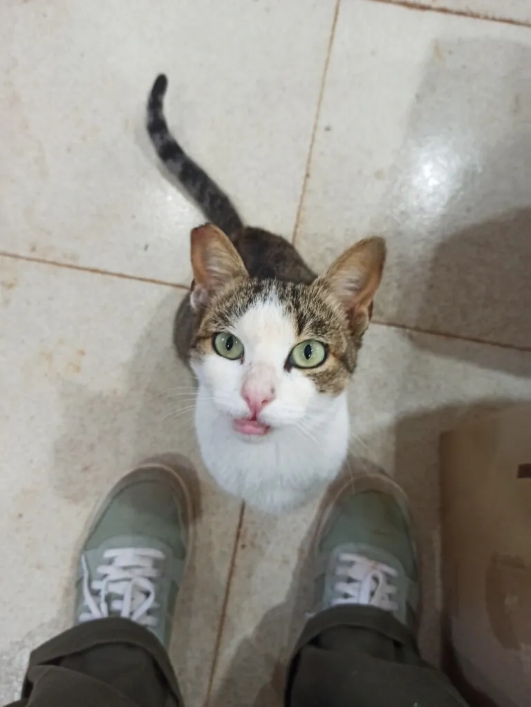 2a Oportunidad2 768x1023