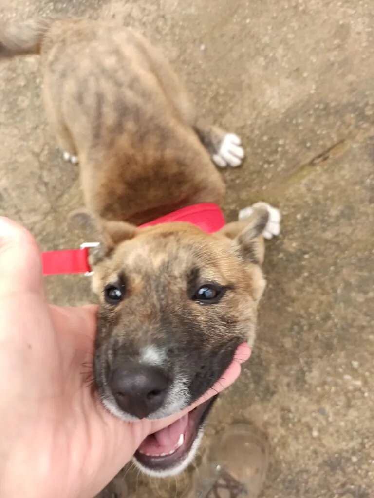 2a Oportunidad4 768x1023