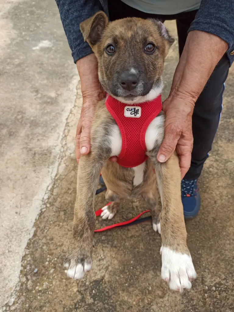 2a Oportunidad6 768x1023