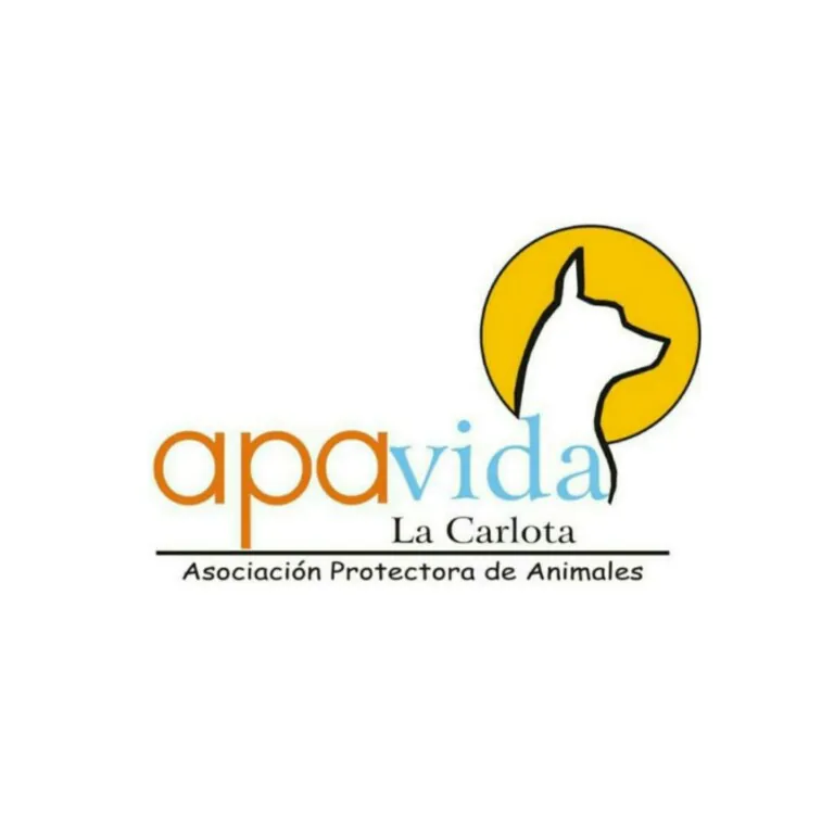 A.P.A. Vida logo 768x758