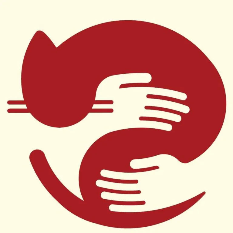 AACC Ayuda Callejeros logo 768x768