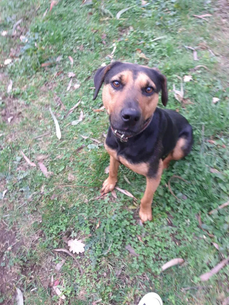 ASOCIACION PROYECTO ZEUS1 768x1024