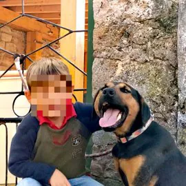 ASOCIACION PROYECTO ZEUS4