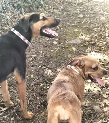 ASOCIACION PROYECTO ZEUS5