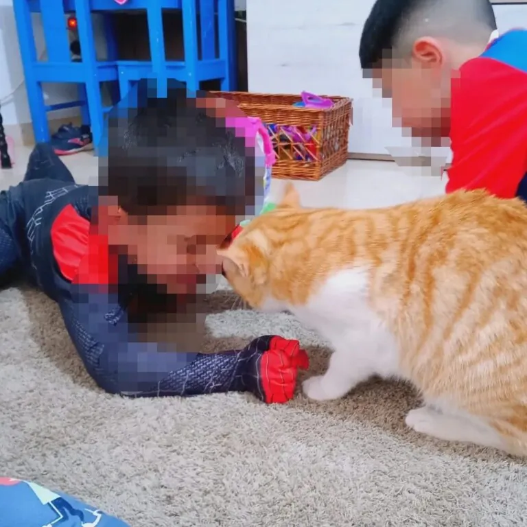 Accion animal Granatula1 768x768