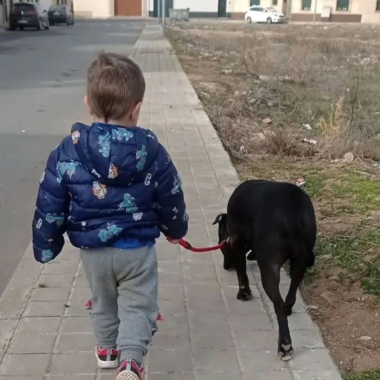 Accion animal Granatula2 768x768