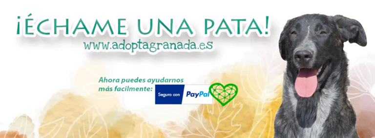 Adopta Granada logo 768x284
