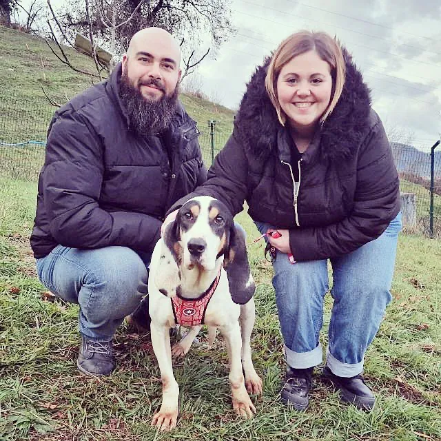 Adopta en los Abedules2