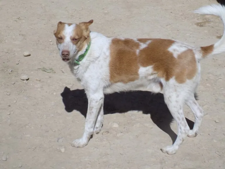 Apayma Argamasilla3 768x576