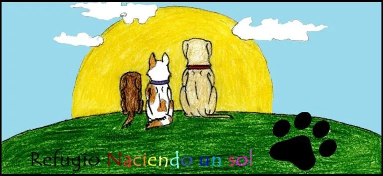 Asociacion Naciendo un Sol logo 768x354
