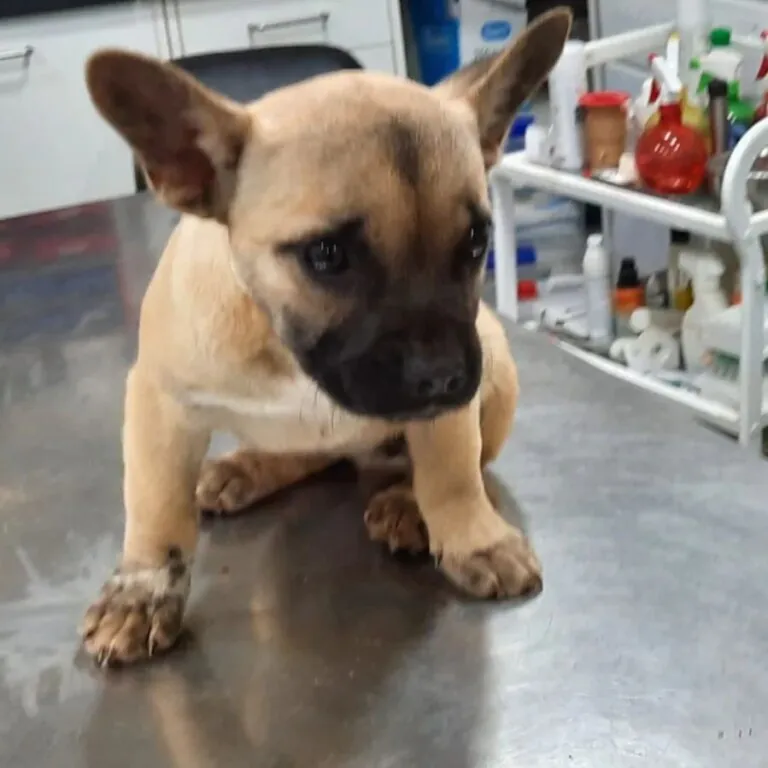 Asociacion Naciendo un Sol1 768x768