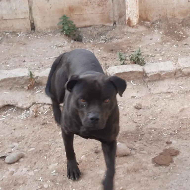 Asociacion Naciendo un Sol2 768x768